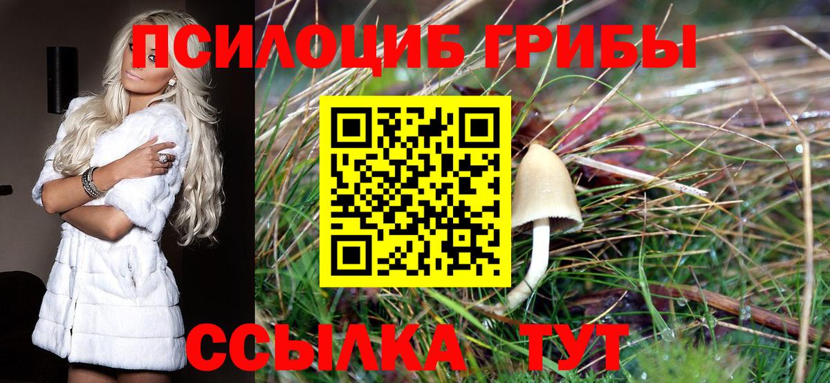 Шуя  Галлюциногенные грибы GOLDEN TEACHER  Вход с VPN 