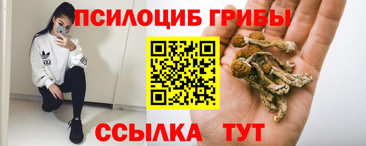 Псилоцибиновые грибы GOLDEN TEACHER Шуя